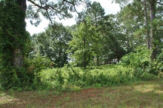 Lot 3 Block C Oak Dr, Hawkinsville, GA 31036