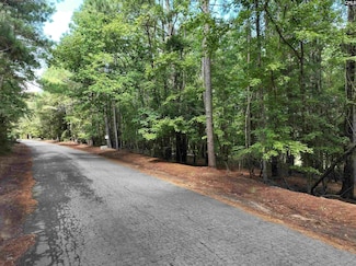 155A Torrey Pine Ln, Chapin, SC 29036