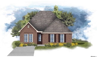 13158 Ducks Landing St, Gonzales, LA 70737