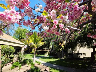 320 Auburn Way Unit 25, San Jose, CA 95129