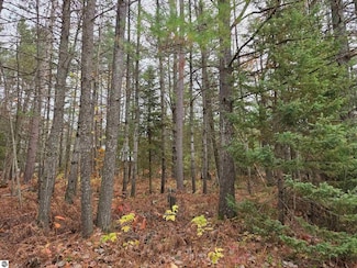 0 Battalion Blvd Unit 1940218, Grayling, MI 49738