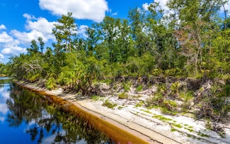 000 235th Rd, Dowling Park, FL 32060