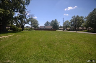 22 Elizabeth Dr, Swansea, IL 62226