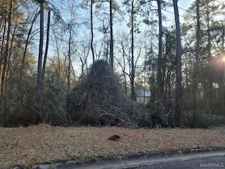 814 E Lee St, Enterprise, AL 36330