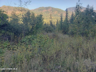 18 Majestic Mountain Rd, Clark Fork, ID 83811