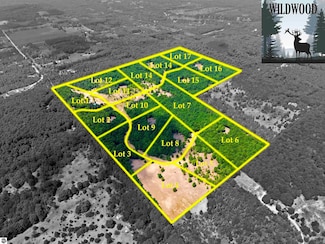 10732 SW Pine Ridge Dr, Springfield Township, MI 49633