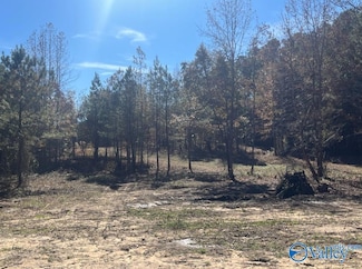 2 ACRES Old Union Rd, Grant, AL 35747