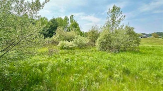 Lot 59 Country Club Dr Unit 59, Charlevoix, MI 49720
