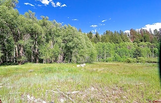 TRACT 48 County Road 771, Ohio City, CO 81237