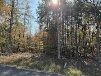 3 Woods Cliff Ln, Savannah, TN 38372