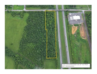 0 Piney Grove Rd Unit 24238102, Falkville, AL 35622