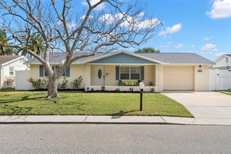2146 Society Dr, Holiday, FL 34691
