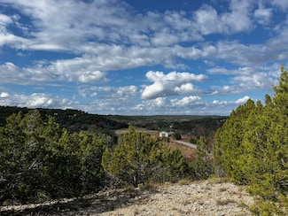 101 Twin Creek Rd, Dripping Springs, TX 78620