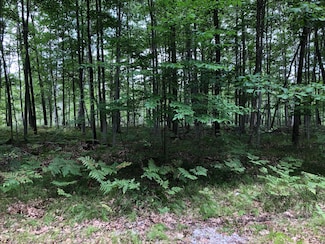 6231 Fox Run Cir, Canadian Lakes, MI 49346