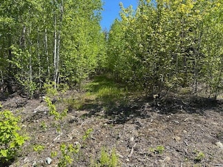 Lot 4 Mt Jefferson Heights, Lee, ME 04455