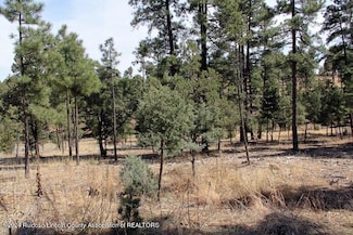 106-108 New Mexico 48, Alto, NM 88312