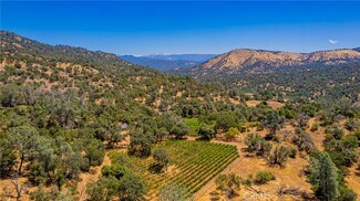 49610 House Ranch Rd, O Neals, CA 93645
