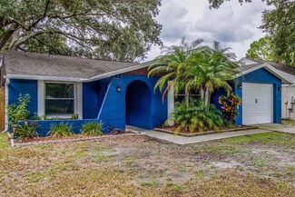 3303 Russett Dr, Tampa, FL 33618