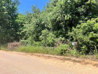 600 Shady Hill Ln, Springtown, TX 76082