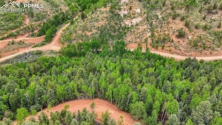 1034 Little Topsey Dr, Cripple Creek, CO 80813