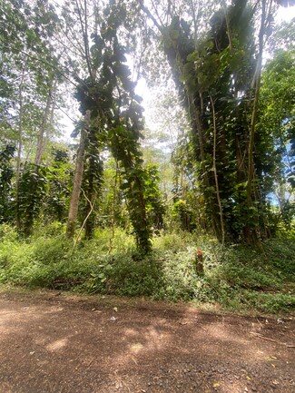 0 Hilo Rd Unit 719841, Pahoa, HI 96778