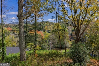0 Hill St, East Ellijay, GA 30540