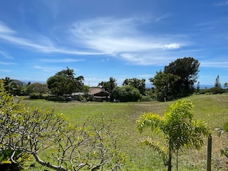 94-1392 Kaulua Cir, Naalehu, HI 96772