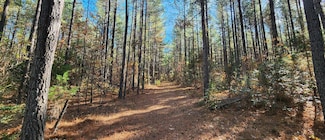 Grand Brooks Rd, Spotsylvania, VA 22551