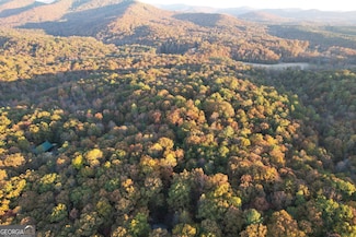 LT 51, 53 Squirrel Hunting Rd, Ellijay, GA 30536