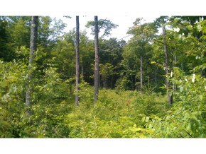 4 Beck Pond Rd, West Burke, VT 05871