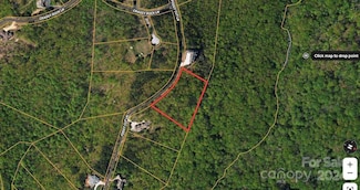 311 Foggy Cut Ln, Landrum, SC 29356