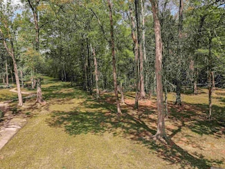 19537 Creek Round Ave, Shenandoah, LA 70817