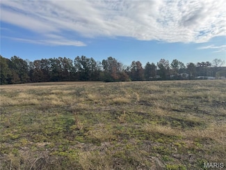 108 Hickory Heits Ct, Moscow Mills, MO 63362