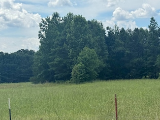 2214 Arkansas 53, Rosston, AR 71858