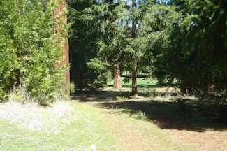 26441 Golf Links Dr, Pioneer, CA 95666