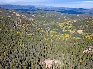 000 Edward Dr Unit 26, Conifer Mountain & Meadows, CO 80433