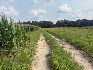 0 Rainbow Dr Unit 23734522, Wagener, SC 29164