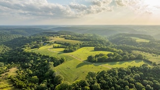 3225 Fairview Rd, Chadwick, MO 65629