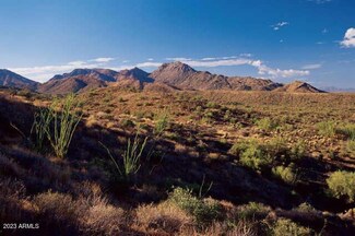 14433 E Desert Tortoise Trail Unit 24, Fountain Hills, AZ 85268