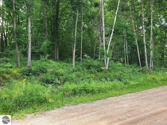 TBD N Coldwater Rd, Mount Pleasant, MI 48858