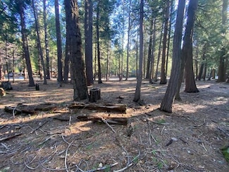 0 Douglas Fir Ct, Shingletown, CA 96088