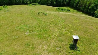 120 Acres Carnes Chapel Rd, Attalla, AL 35954