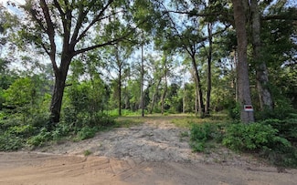 TBD Brantley Rd, Obrien, FL 32071