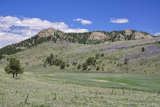 294 Wrights Ln, Guffey, CO 80820