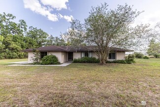 11589 NE 36th St, Oxford, FL 34484