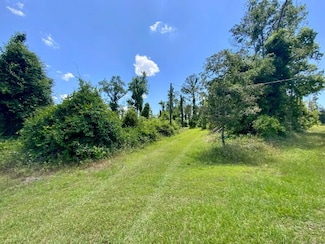 427 SW Castleberry Trail, Madison, FL 32340