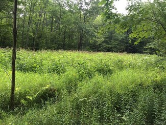 0 Shaffer Rd Unit S1071704, Angelica, NY 14709