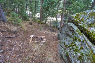 8116 S Brook Forest Rd, Evergreen, CO 80439