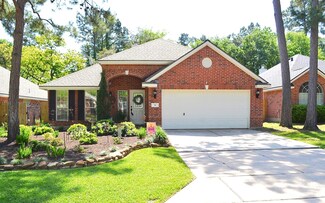 14 Mulberry Glen Place, Spring, TX 77382