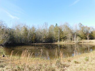 89 Newco Rd, Wiggins, MS 39577